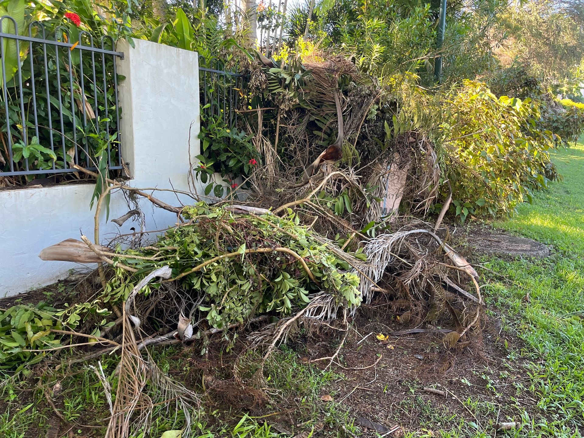 Green waste Green waste