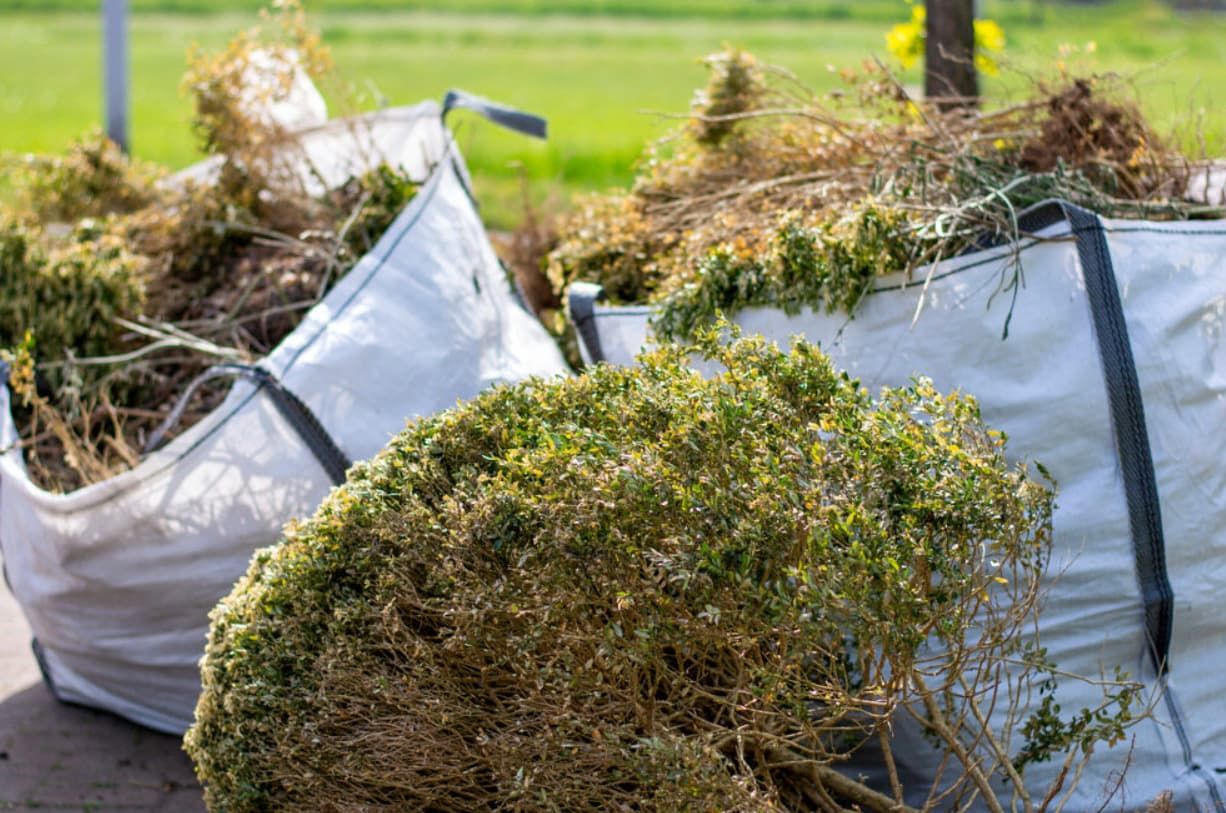 Many garden bags filled with green waste Many garden bags filled with green waste