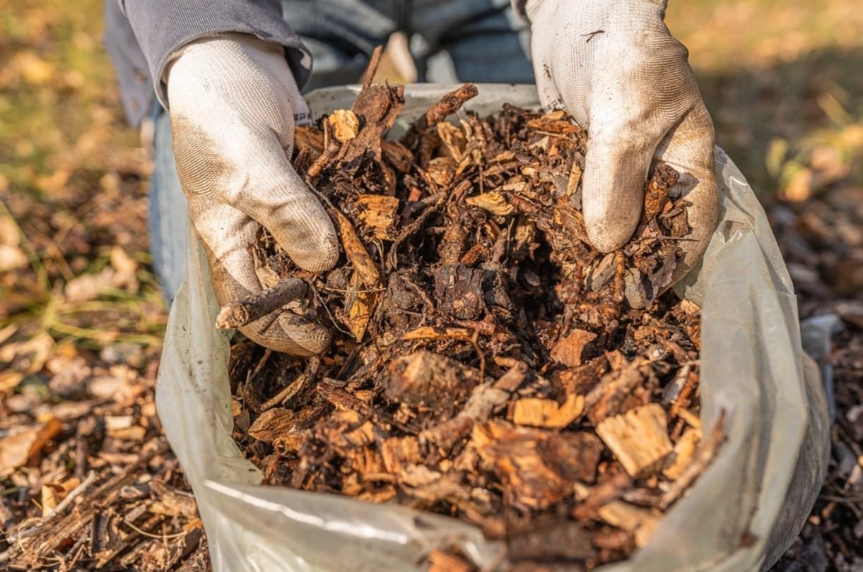 Green Waste
