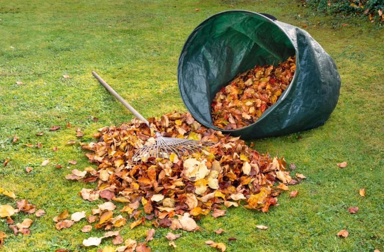 Garden Bag on side with leaves coming out of it